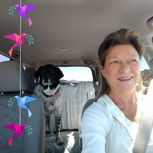 Meet your Posher, Patty monteverde